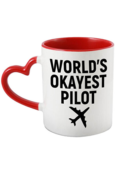 StoryGift Romania Cana cu un avion pentru cel mai in regula pilot - zboruri c...