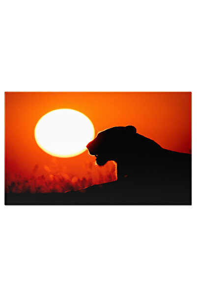 StoryGift Romania Tablou Canvas: Silueta De Felina La Apus De Soare, Peisaj E...