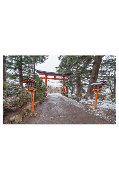 StoryGift Romania Tablou Canvas Pagoda In Kyoto, Japonia, Arhitectura, Padure, Mare, Lac, Religie 4453