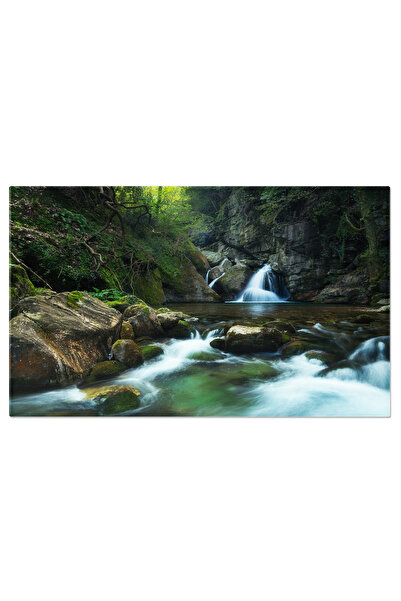 StoryGift Romania Tablou Canvas Padure Epica Natura, Frumusete, Exterior, Cal...