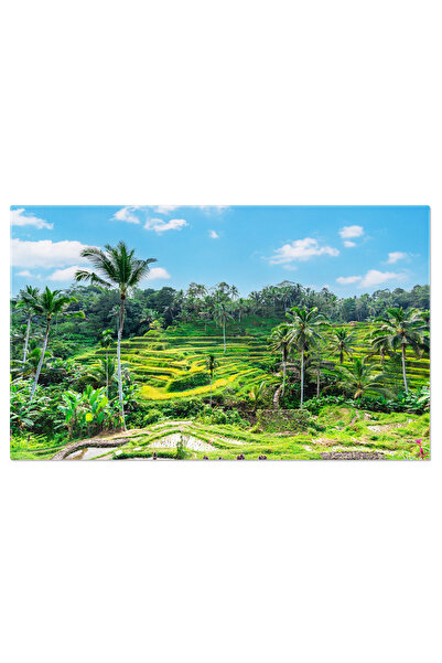 StoryGift Romania Tablou Canvas Tegalalang, Frumoasele Terase De Orez Verzi Din Bali, Indonezia, Terase De Orez,