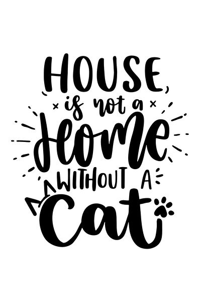 StoryGift Romania Sticker Eticheta 50CM Exterior cu mesajul "Casa nu este "acasa" fara o pisica" - importanta fe