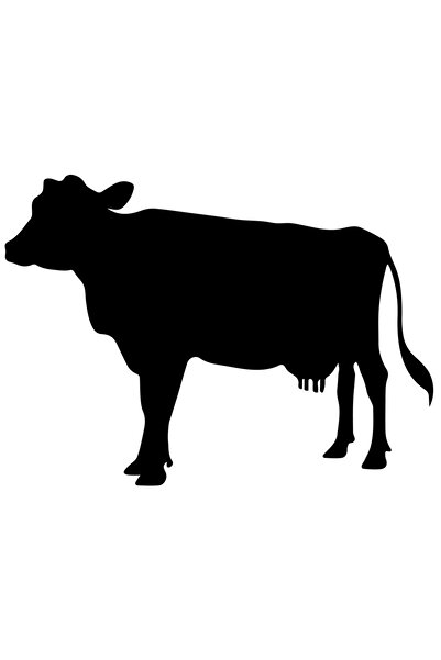 StoryGift Romania Sticker Autocolant 70CM Exterior cu o vacuta - animal domes...