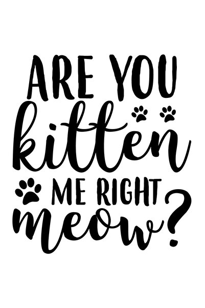 StoryGift Romania Sticker Autocolant 70CM Exterior cu mesajul "Glumesti cu mi...