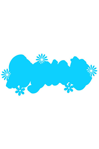 StoryGift Romania Sticker Autocolant 30CM Exterior cu floricele si mesaj care...