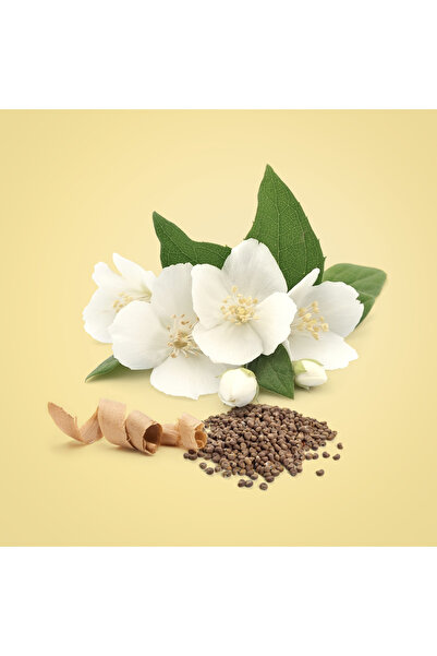 Calvin Klein Calvin Klein Beauty for Women - Eau de Parfum - 100ml