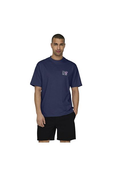 ONLY Men's O Neck T-Shirt 22029523