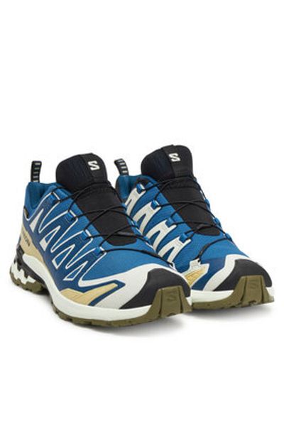Salomon Men's Running Shoes L47817400 blue