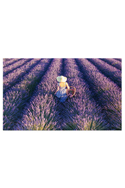 StoryGift Romania Tablou Canvas Femeie Cu Palarie Si Rochie Frumoasa Culege L...