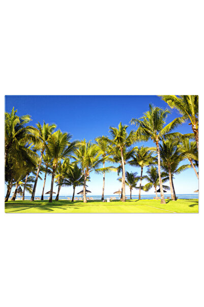 StoryGift Romania Tablou Canvas Plaja Tropicala Cu Palmieri, Plaja, Palmieri,...