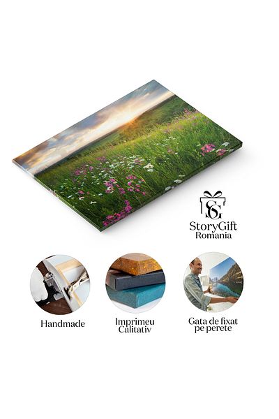 StoryGift Romania Canvas Painting Flowers on the Mountain Field at Sunrise Adventure, Tourism, Mountains, Flowers, Sunrise