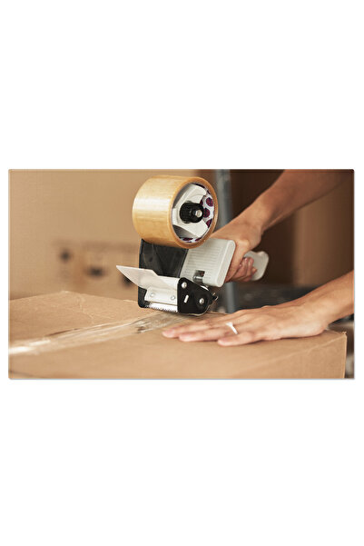 StoryGift Romania Tablou Canvas - Ambalare Pentru Schimbare: Pregatindu-se Pe...