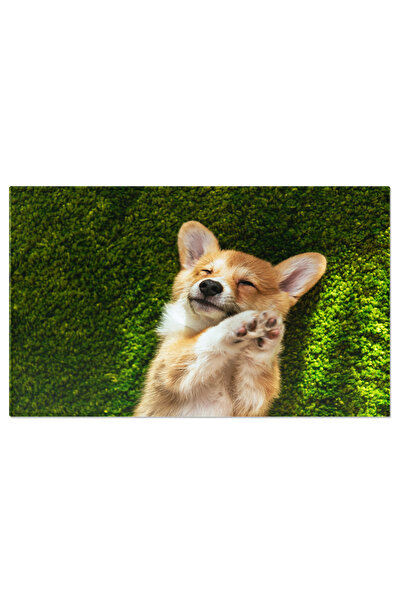 StoryGift Romania Tablou Canvas Corgi Welsh Pembroke Pe Gazon Verde Acasa Ver...