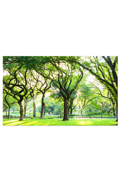 StoryGift Romania Tablou Canvas 140 X 90cm - New York, Manhattan: Aleea Centrala, Lumina Si Verdet 14,stg