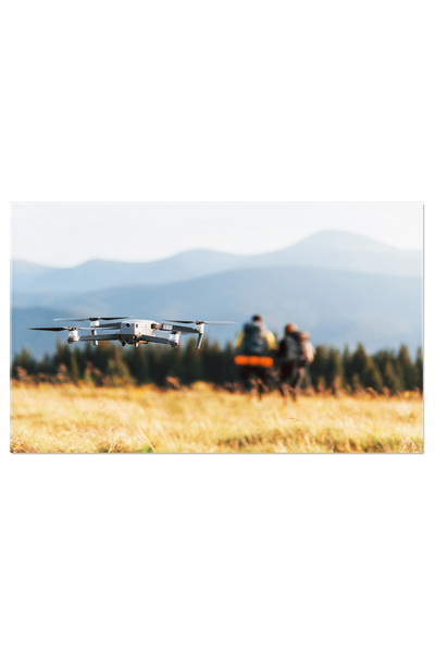 StoryGift Romania Tablou Canvas: Lumina Toamnei In Padurea Fermecata - Culori Vesele Si Detalii Pline De Farmec