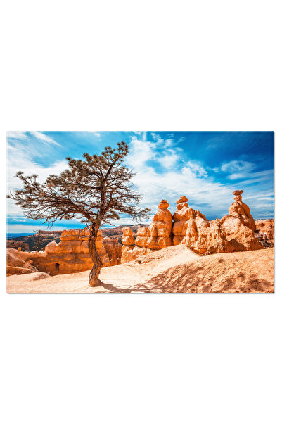 StoryGift Romania Tablou Canvas Drumetie Pe Traseul Gradinii Reginelor In Par...