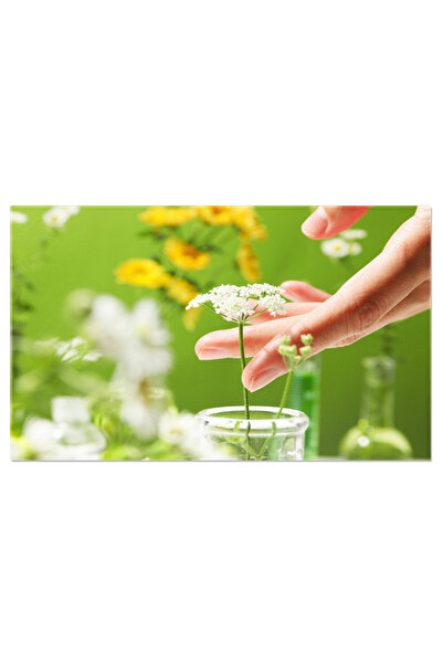 StoryGift Romania Tablou Canvas Explorand Fitoterapia Eprubete Si Flori Intru...