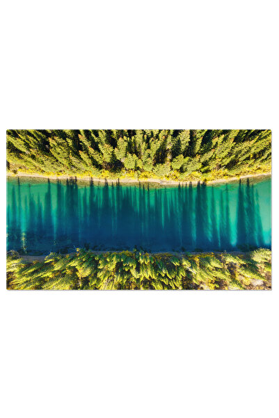 StoryGift Romania Tablou Canvas Linia Apei In Padure, Aerian, Natura, Peisaj,...