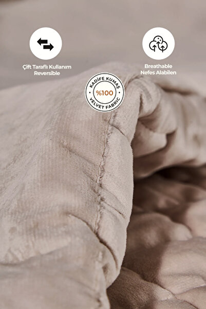 Evlen Home Collection Stacy Velvet Bedspread Quilt Sleeping Set Double Fiber Filled 3 Piece Beige