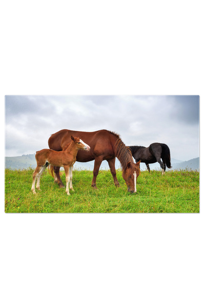 StoryGift Romania Tablou Canvas - Farmecul Vietii La Tara Cu Cai Si Peisaj Mo...