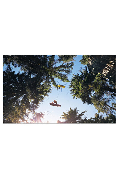 StoryGift Romania Tablou Canvas Serviciu De Urgenta Medicala Cu Elicopter, El...