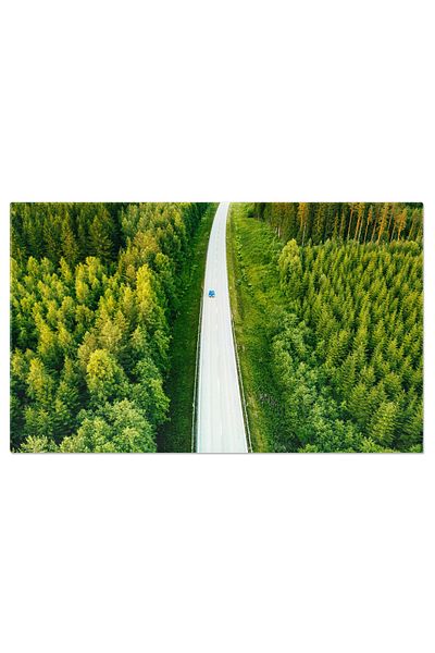 StoryGift Romania Tablou Canvas: Drum In Mijlocul Padurii, Calatorie Aeriana, Natura Neperturbata, Verdeata