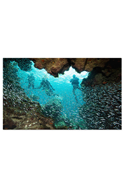 StoryGift Romania Tablou Canvas Privind Direct In Obiectiv, Fotografie, Autoportret, Privire 2526