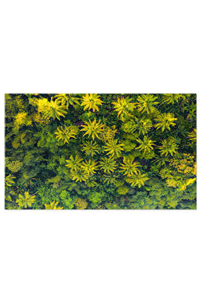 StoryGift Romania Tablou Canvas Cascada In Java, Indonezia, Bali, Parc Nation...