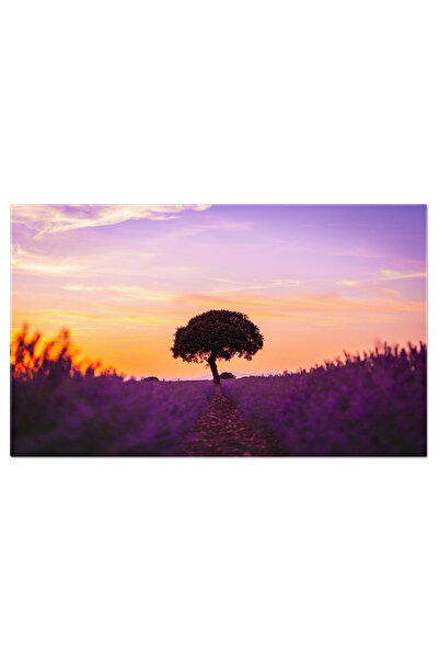 StoryGift Romania Tablou Canvas Apus Intr-un Camp De Lavanda, Lavanda, Apus, ...