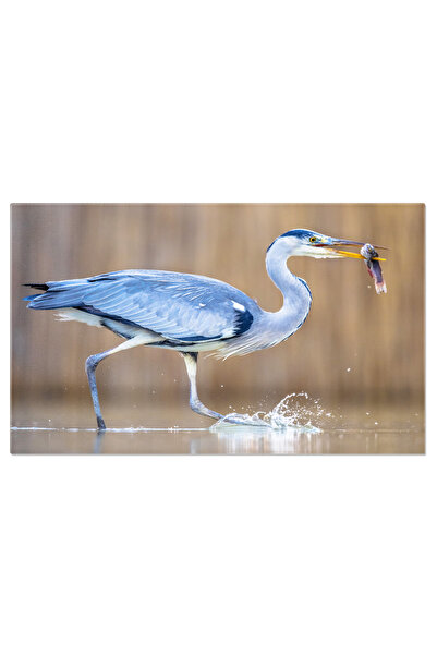 StoryGift Romania Tablou Canvas Pescar Egreta - Mestecand In Ungaria