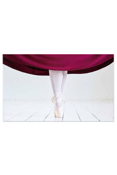 StoryGift Romania Tablou Canvas Cu Balet Si Eleganta - Dansul Vietii