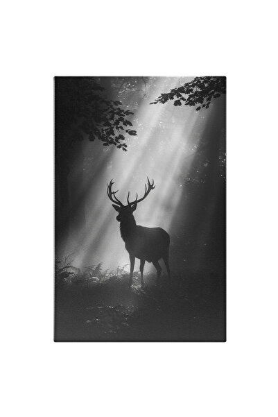 StoryGift Romania Tablou Canvas: Cadru Foișor De Codru În Razele Soarelui Și ...