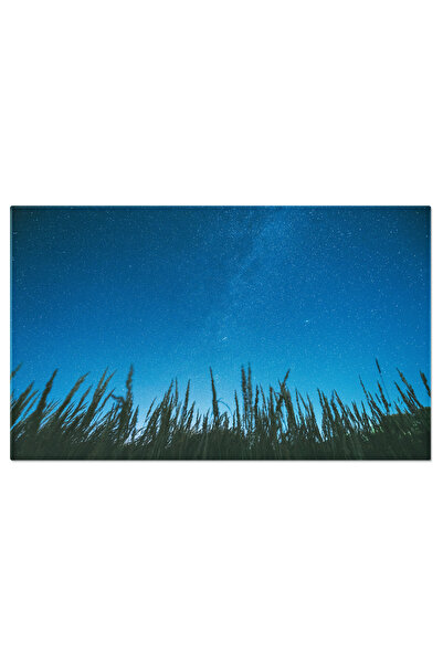 StoryGift Romania Tablou Canvas View De Jos A Cerului Instelat De Noapte Augu...