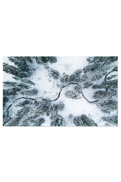 StoryGift Romania Tablou Canvas - Zi Insorita Si Iarna In Parcul Cu Natura In...