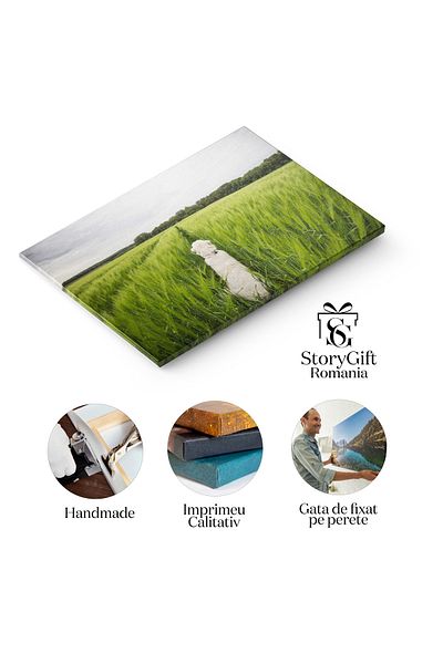 StoryGift Romania Tablou Canvas Ciobanesc Alb Mare Fericit Pe Camp De Secara Caine, Animale, Natura, Fericire 229