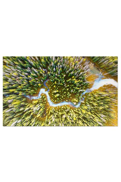 StoryGift Romania Tablou Canvas Adevarata Frumusete A Padurii, Peisaj, Natura, Aerian, Apa, Vara 45