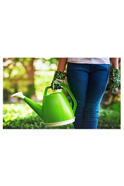 StoryGift Romania Tablou Canvas - Fermiera Grija Culturilor, Udand Plante, Fa...