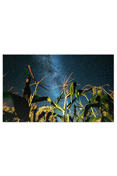 StoryGift Romania Tablou Canvas 120 x 80CM - Noapte înstelată peste câmp de p...
