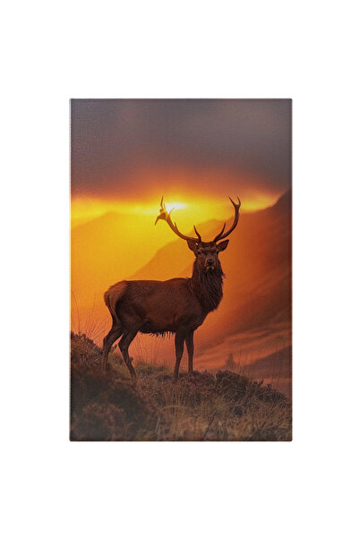 StoryGift Romania Tablou Canvas: Apusul Dintre Coarnele Cerbului Străbaterea Munților Și Văilor Peisaj De Seară P