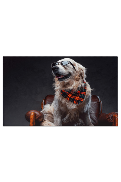 StoryGift Romania Tablou Canvas - Labrador Retriever In Lumina Studio, Cu Parul Blanos Si Ochi Luciosi