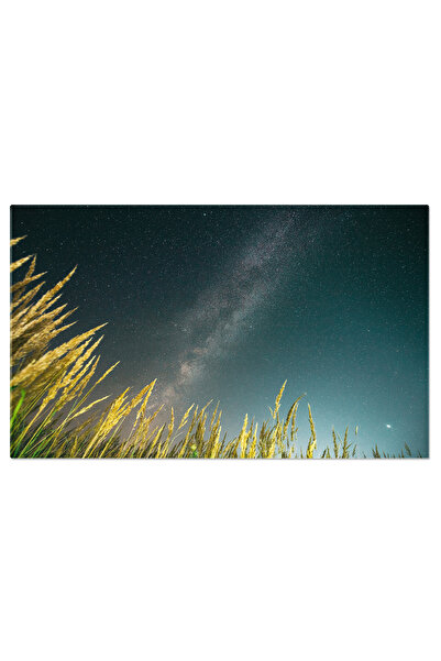 StoryGift Romania Tablou Canvas Vedere De Jos A Cerului Instelat August, Cosm...
