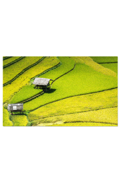 StoryGift Romania Tablou Canvas Scene Cu Artificii Multicolore La Bangkok Fes...