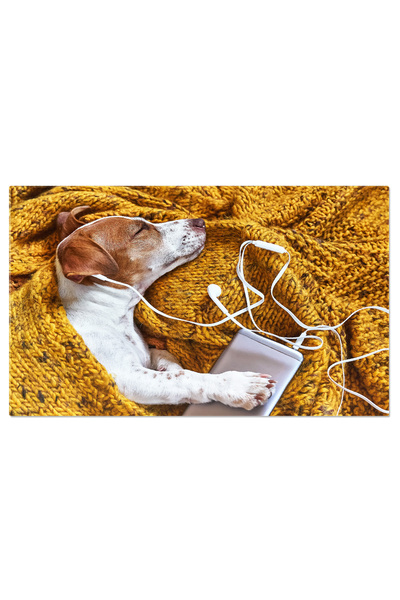 StoryGift Romania Tablou Canvas Catel Jack Russell Terrier Dragut Dormind Pe ...