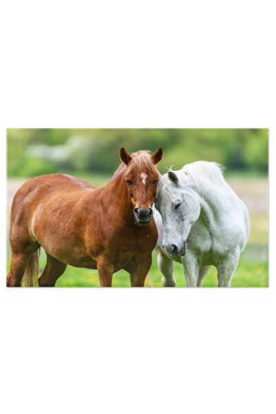 StoryGift Romania Tablou Canvas - Ferma In Timpul Verii: Echitatie In Pasune, Simplitatea Vietii La Tara Inconjur