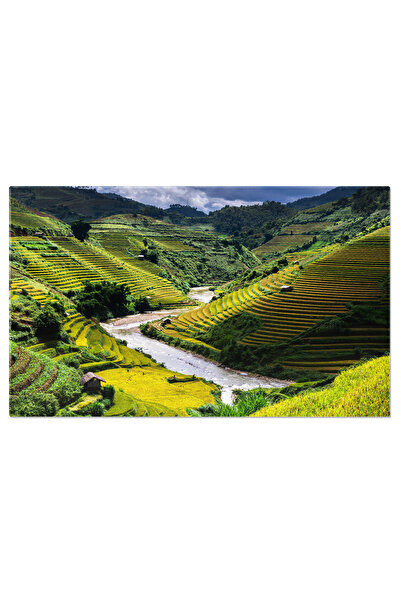 StoryGift Romania Tablou Canvas Terasele Din Mu Cang Chai, Districtul B, Vietnam, Agricultura, Camp, Peisaj, Tera