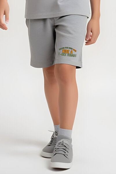 FYK KİDS Boy's Tee-Shorts Trex Today Printed Bottom-Top Suit