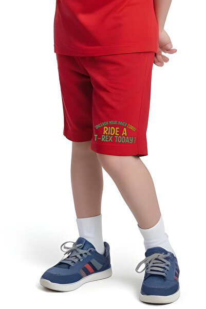 FYK KİDS Boy's Tee-Shorts Trex Today Printed Bottom-Top Suit