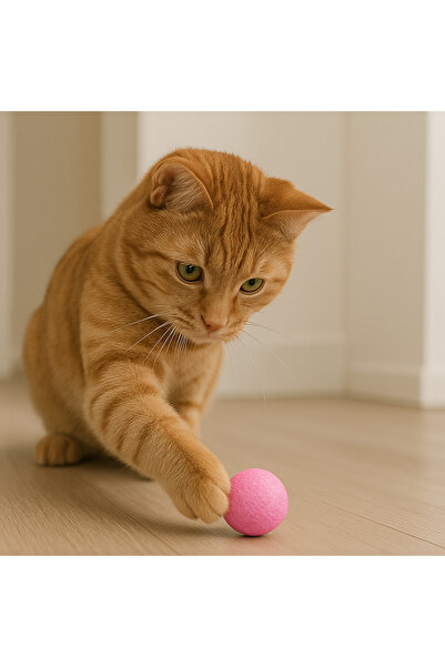 Fauna Pet Supplies Sünger Kedi Oyuncağı – Yumuşak Ve Sessiz Top Pembe (4CM)