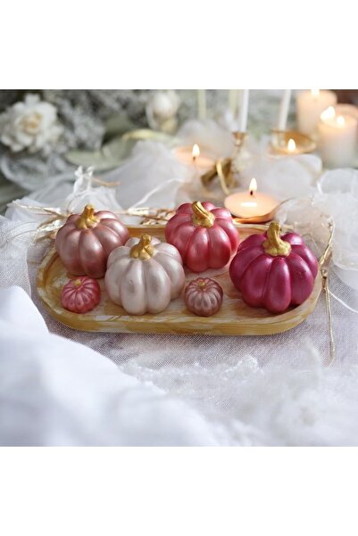 Roses BALKABAĞI PINK DEKOR SET STANDLI BOYALI VE CİLALI HALLOWEN PUMPKIN DEKO...