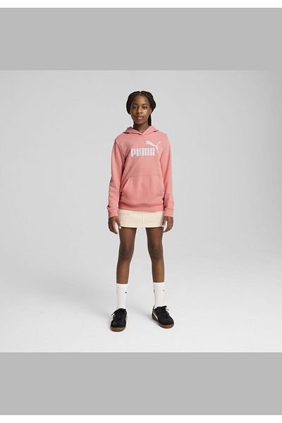 Puma ESS No. 1 Logo Hoodie Youth